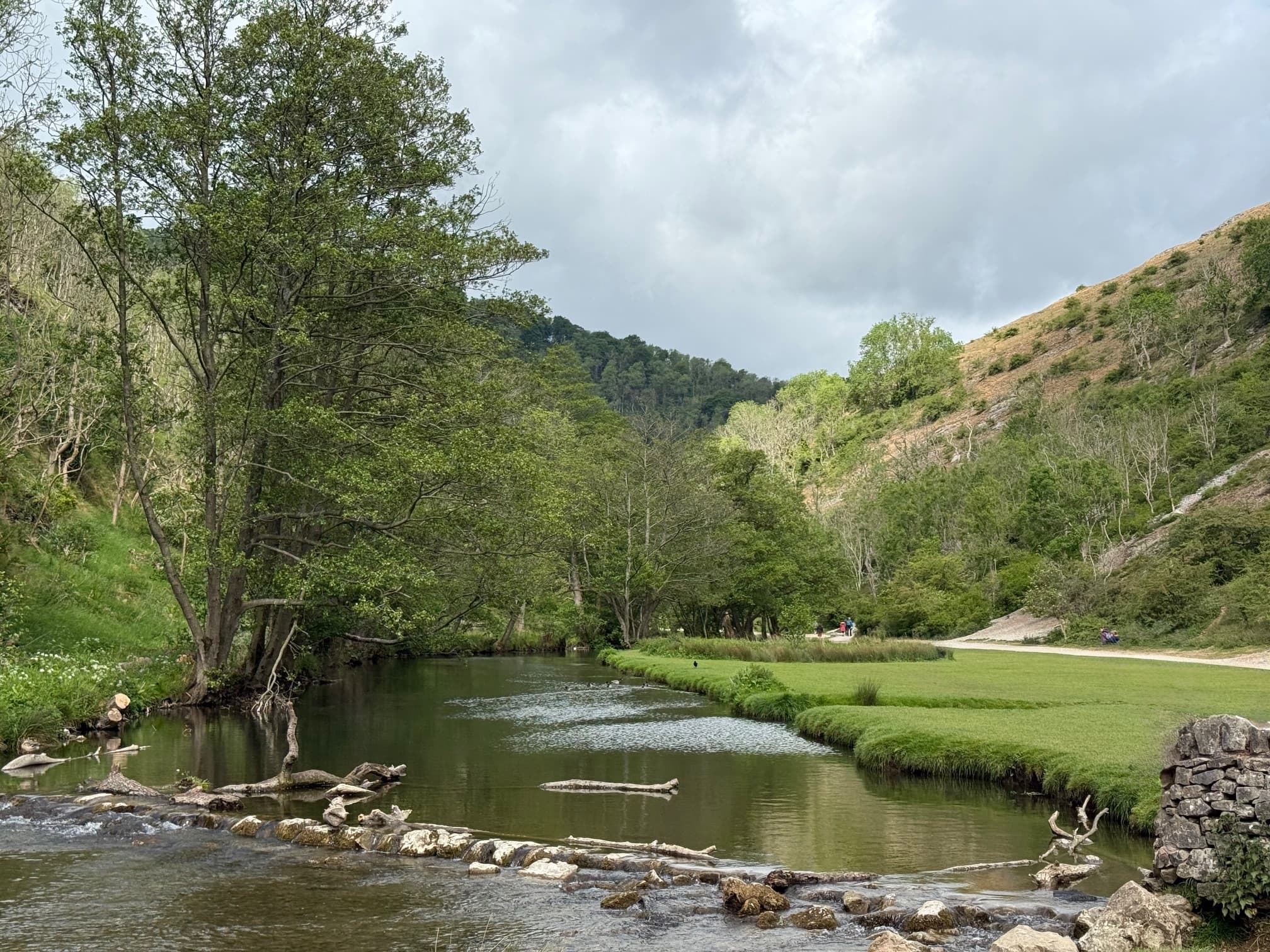 5 Simple Ways To Ground